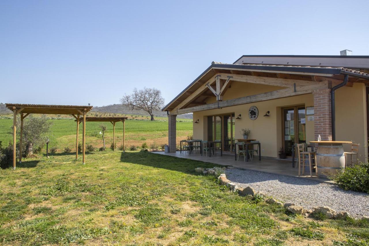 Agriturismo Casa Ricci Villa Magliano in Toscana Exterior foto